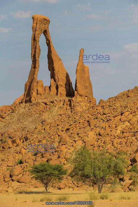: Ragged rock arch, Ennedi Plateau, Chad, Africa : Ragged rock arch, Ennedi Plateau, Chad, Africa