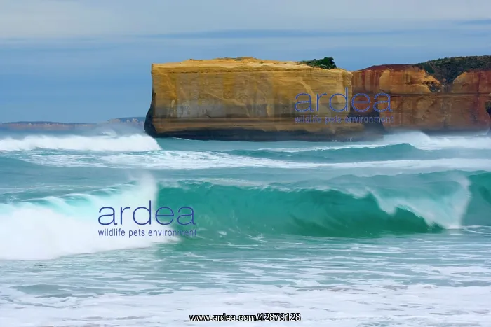 : Raging waves in the Bay of Islands - very strong : Raging waves in the Bay of Islands - very strong
