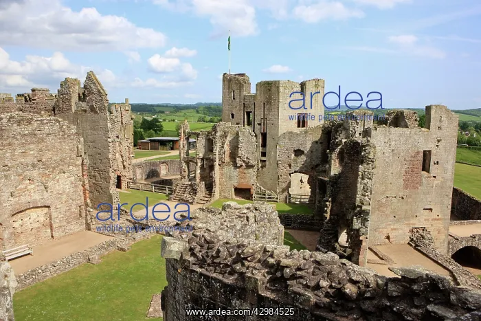 : Raglan Castle Ruins : Raglan Castle Ruins
