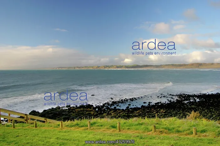 : Raglan, New Zealand. The nice weather, beautiful : Raglan, New Zealand. The nice weather, beautiful