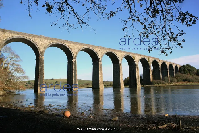 : The Rail Viaduct : The Rail Viaduct