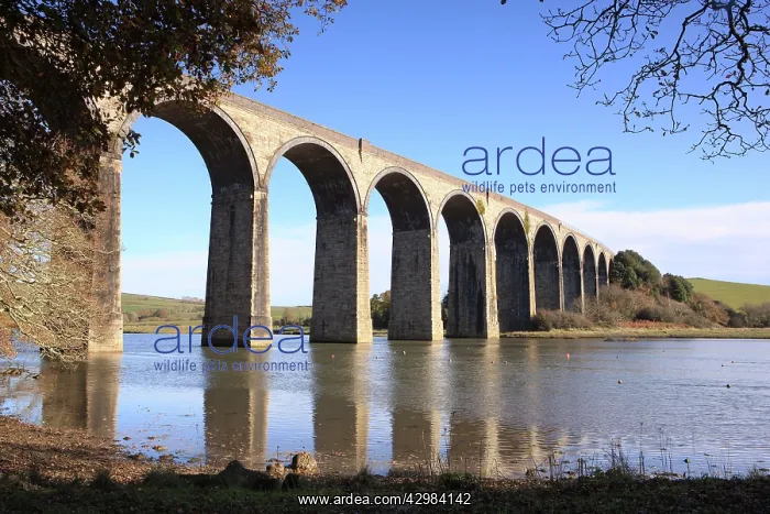 : The Rail Viaduct : The Rail Viaduct