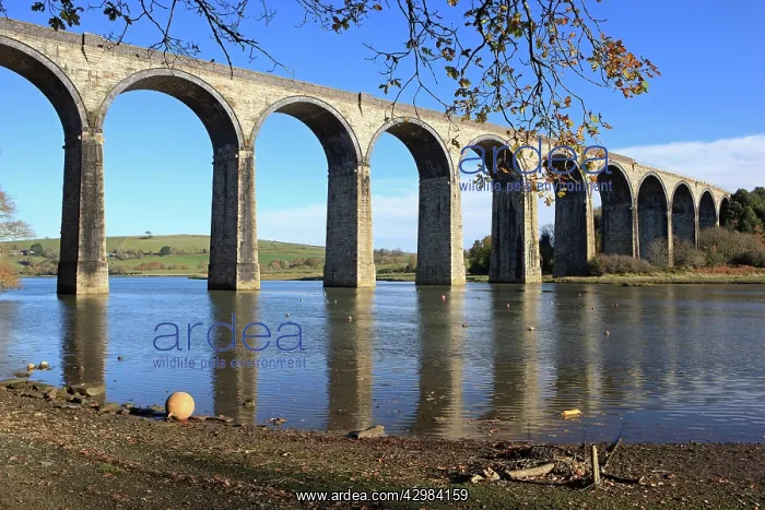 : The Rail Viaduct : The Rail Viaduct