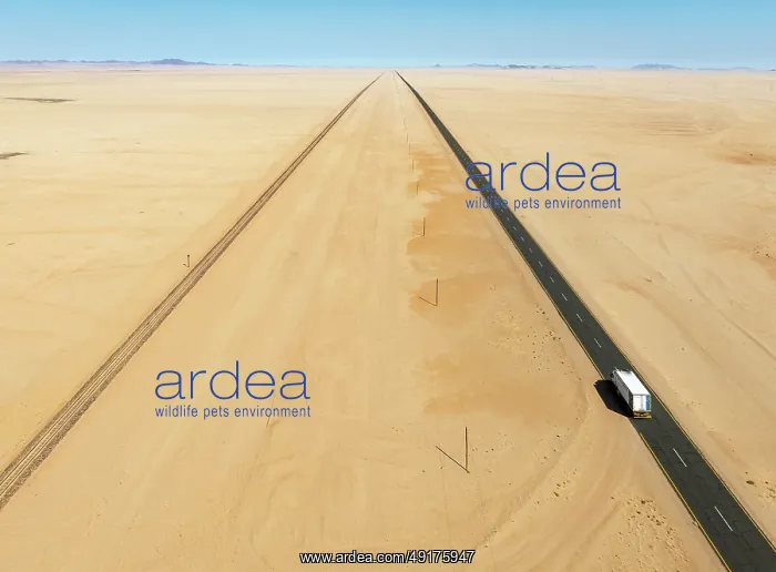 : Rails and the B4 tarred road between Aus and Lüderitz in the southern Namib Desert : Rails and the B4 tarred road between Aus and Lüderitz in the southern Namib Desert