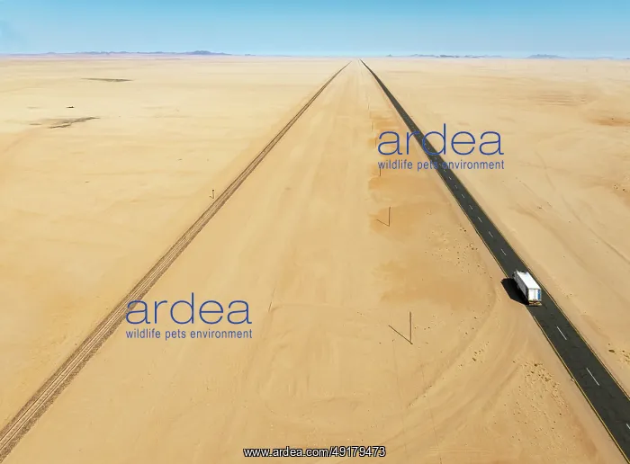 : Rails and the B4 tarred road between Aus and Lüderitz in the southern Namib Desert : Rails and the B4 tarred road between Aus and Lüderitz in the southern Namib Desert