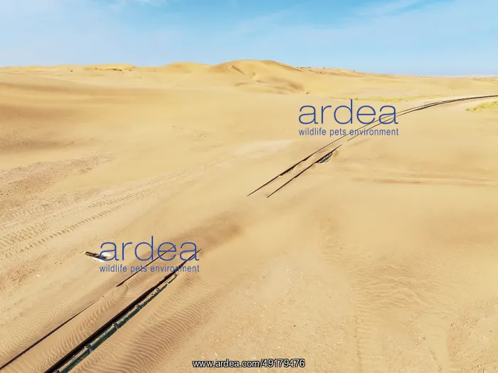 : Rails covered with sand in the southern Namib Desert : Rails covered with sand in the southern Namib Desert