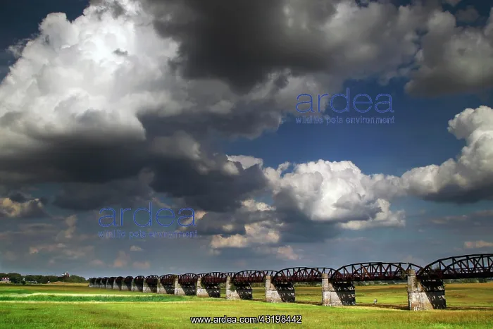 : Railway bridge over the Elbe, Elbe floodplain, flood : Railway bridge over the Elbe, Elbe floodplain, flood