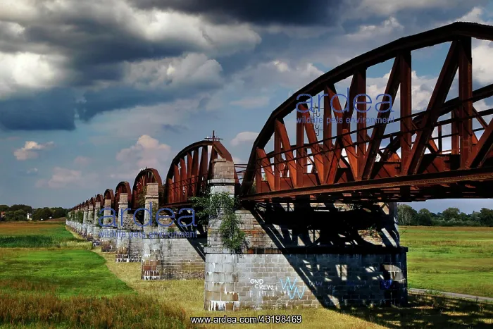 : Railway bridge over the Elbe, Elbe floodplain, flood : Railway bridge over the Elbe, Elbe floodplain, flood