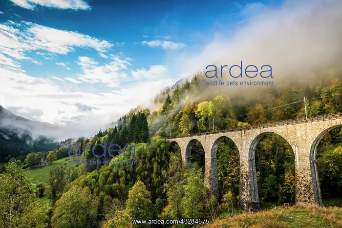  : Railway bridge in the Ravenna gorge, H&, x1acb25;ntal