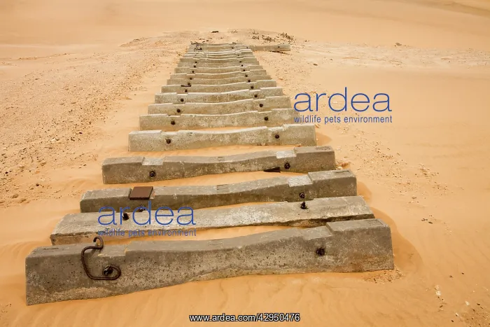  : Railway sleepers in the dunes - Remnants of the