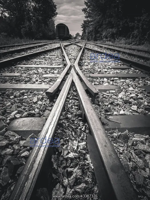 : Railway tracks meeting in the forest converge in : Railway tracks meeting in the forest converge in