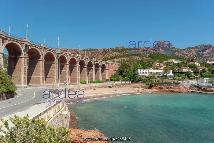 : Railway viaduct in front of the Massif de l'Esterel : Railway viaduct in front of the Massif de l'Esterel