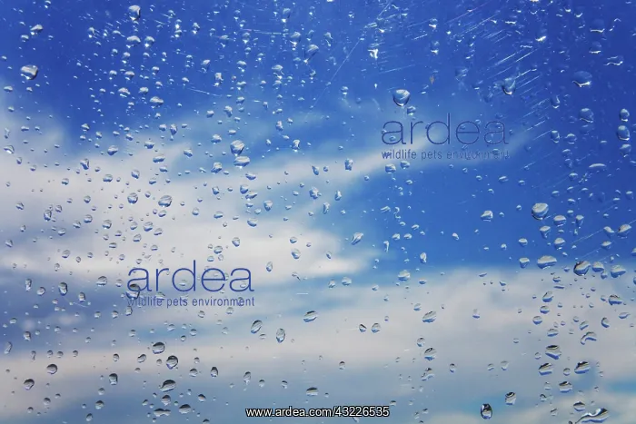 : Rain drops on airplane window after storm : Rain drops on airplane window after storm