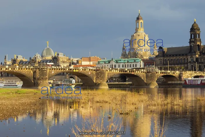 : After a rain shower, Dresden's silhouette is illuminated b : After a rain shower, Dresden's silhouette is illuminated b