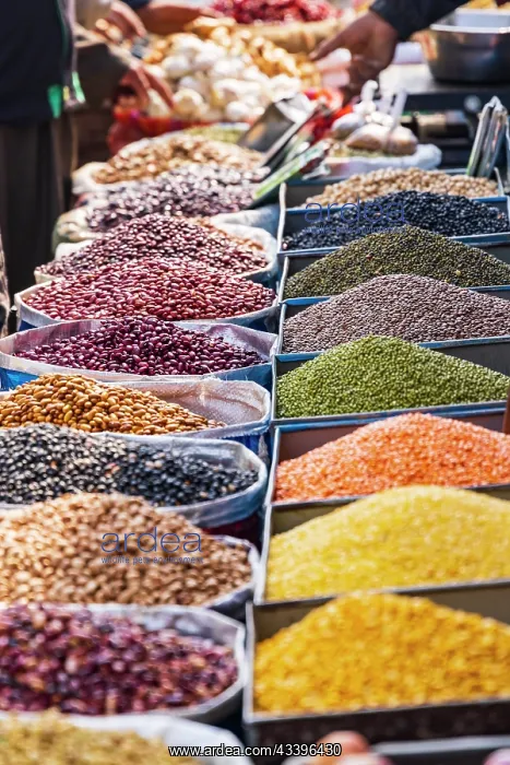 : Rainawari, Srinagar, Jammu and Kashmir, India. Dried : Rainawari, Srinagar, Jammu and Kashmir, India. Dried