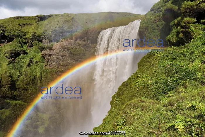 : Rainbow in front of the big waterfall Skngafoss : Rainbow in front of the big waterfall Skngafoss