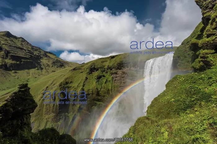 : Rainbow in front of the big waterfall Skngafoss : Rainbow in front of the big waterfall Skngafoss
