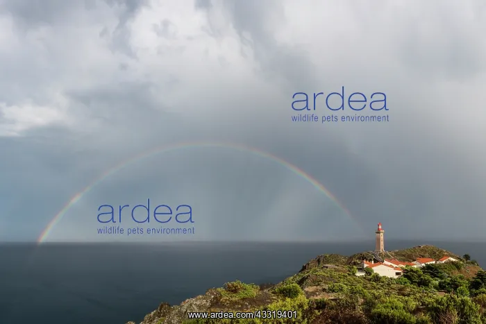 : Rainbow over the Cap Bsar lighthouse, Pyrsnses-O : Rainbow over the Cap Bsar lighthouse, Pyrsnses-O