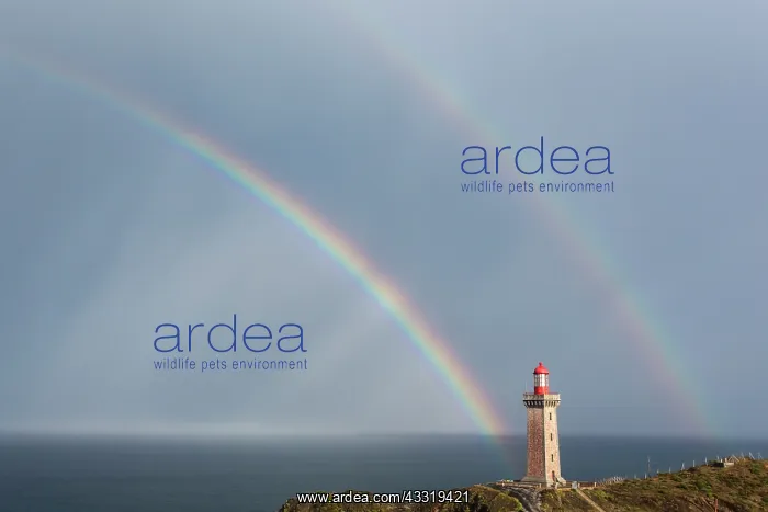 : Rainbow over the Cap Bsar lighthouse, Pyrsnses-O : Rainbow over the Cap Bsar lighthouse, Pyrsnses-O
