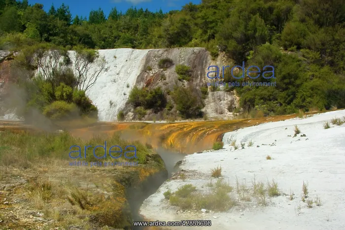 : Rainbow and Cascade Terrace - colourful silica : Rainbow and Cascade Terrace - colourful silica