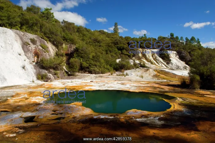  : Rainbow and Cascade Terrace - hot spring and colourful