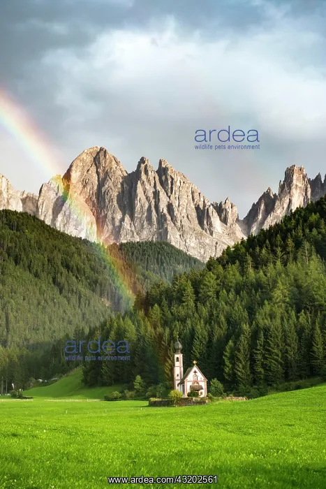 : Rainbow in front of the church St. Johann in Ranui : Rainbow in front of the church St. Johann in Ranui