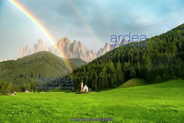 : Rainbow in front of the church St. Johann in Ranui : Rainbow in front of the church St. Johann in Ranui