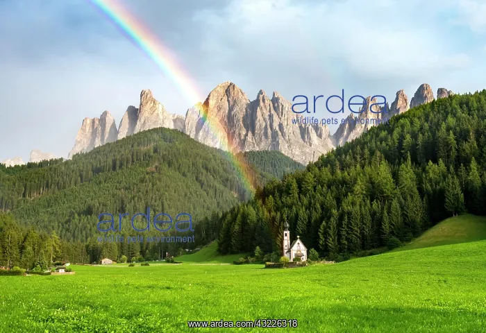 : Rainbow in front of the church St. Johann in Ranui : Rainbow in front of the church St. Johann in Ranui