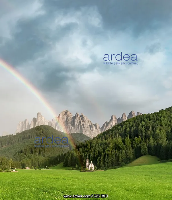 : Rainbow in front of the church St. Johann in Ranui : Rainbow in front of the church St. Johann in Ranui