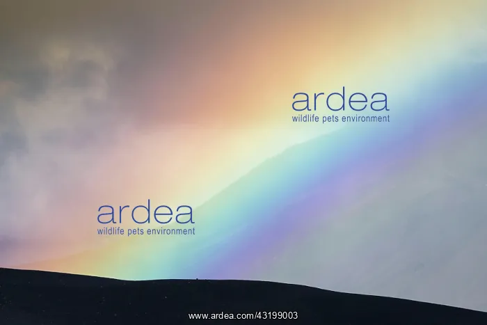 : Rainbow and clouds, flank of table volcano HerEubreiE : Rainbow and clouds, flank of table volcano HerEubreiE