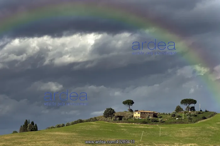 : Rainbow over country house, Crete Senesi, Tuscany : Rainbow over country house, Crete Senesi, Tuscany