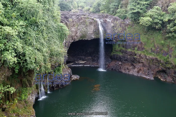: Rainbow Falls, waterfalls, near Hilo, Big Island : Rainbow Falls, waterfalls, near Hilo, Big Island