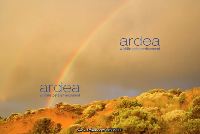 : Rainbow - formed during a rain storm brewing over : Rainbow - formed during a rain storm brewing over