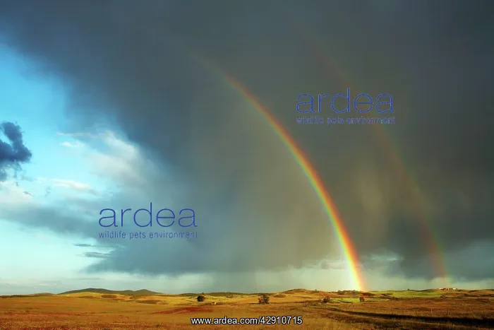 : Rainbow - and March showers : Rainbow - and March showers
