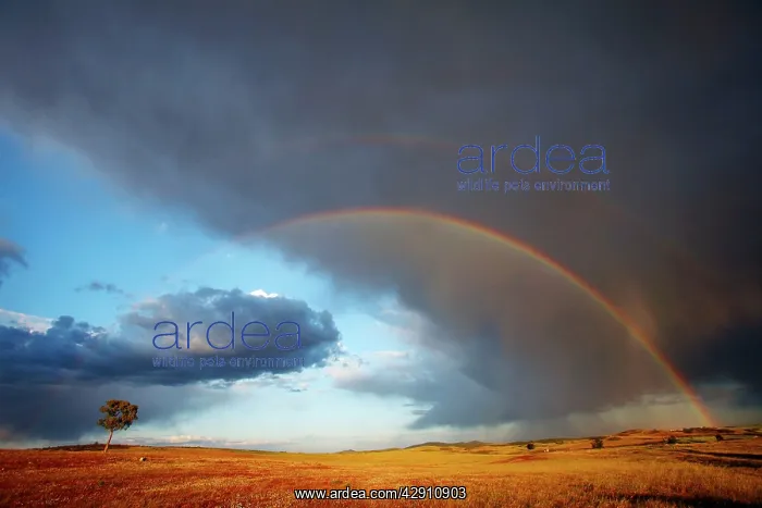 : Rainbow - and March showers : Rainbow - and March showers