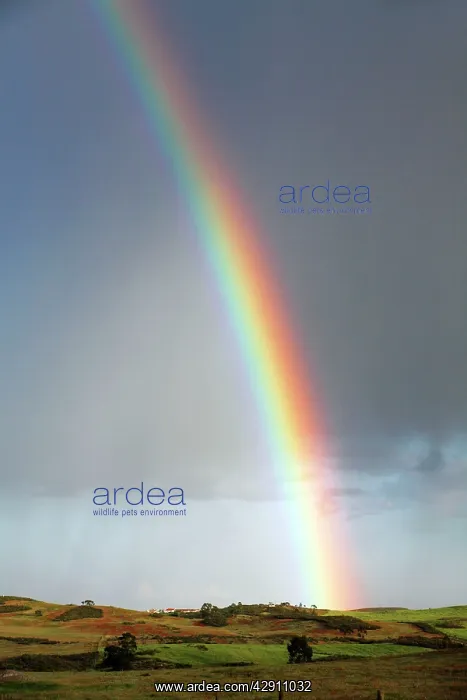 : Rainbow - and March showers : Rainbow - and March showers