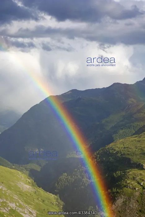 : Rainbow over the Mnlltal, Moelltal valley, Hohe : Rainbow over the Mnlltal, Moelltal valley, Hohe
