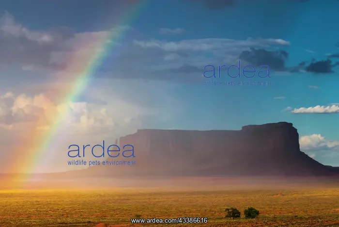 : Rainbow at Monument Valley, cloudy sky, cloud, sky : Rainbow at Monument Valley, cloudy sky, cloud, sky