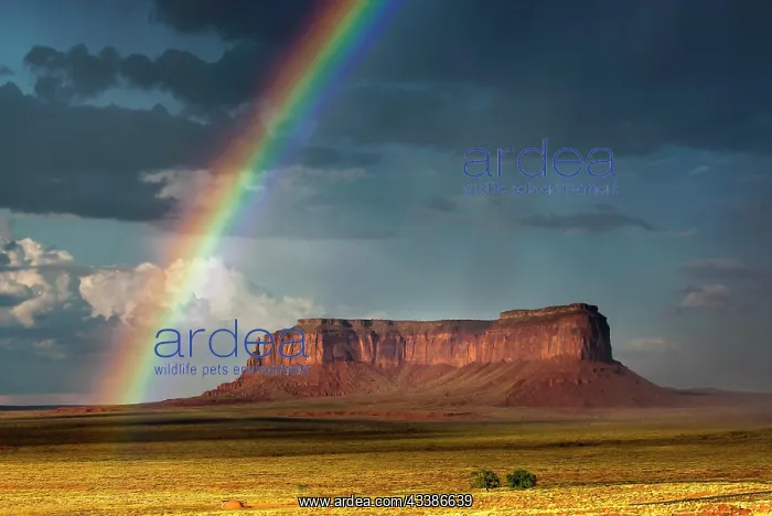 : Rainbow at Monument Valley, cloudy sky, cloud, sky : Rainbow at Monument Valley, cloudy sky, cloud, sky