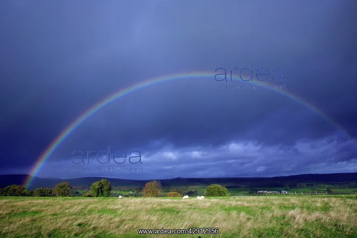 : Rainbow - over pasture land, Simonside : Rainbow - over pasture land, Simonside