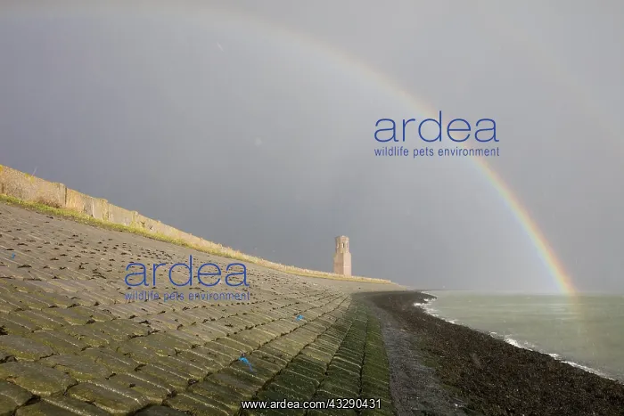 : Rainbow over Plompe toren near the Oosterscheld : Rainbow over Plompe toren near the Oosterscheld