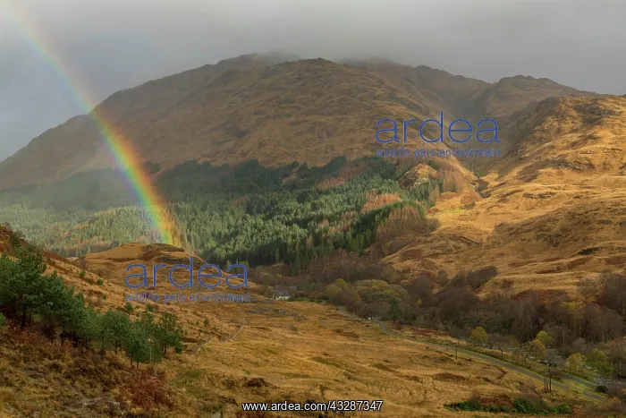  : Rainbow rainbow range in autumn colours, Glenfinnan