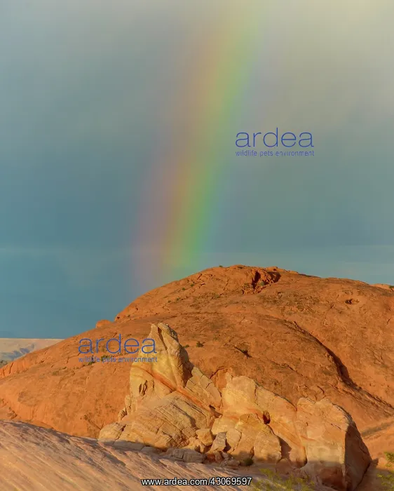 : Rainbow over red rocks with passing storm : Rainbow over red rocks with passing storm