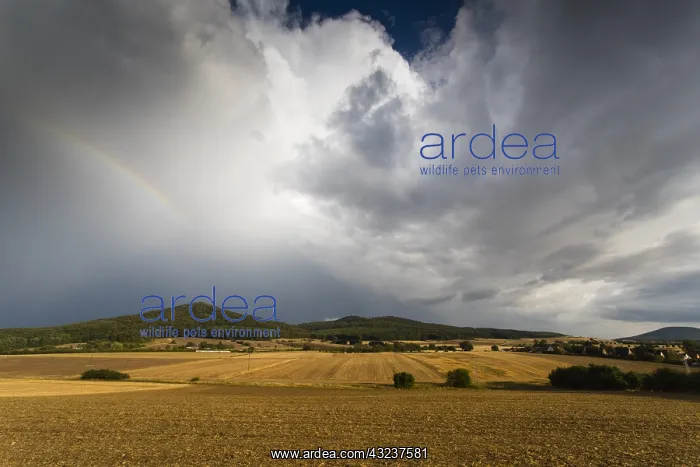 : Rainbow - rest of and arable land after summer storm : Rainbow - rest of and arable land after summer storm