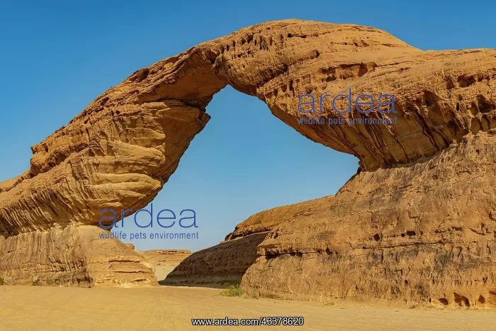 : Rainbow rock arch, Al Ula, Kingdom of Saudi Arabia : Rainbow rock arch, Al Ula, Kingdom of Saudi Arabia