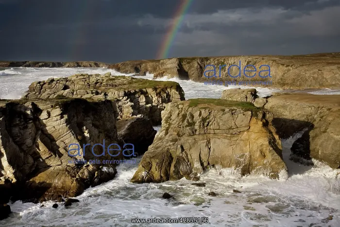 : Rainbow over rocky coastline : Rainbow over rocky coastline