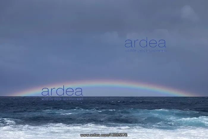  : Rainbow over the sea, Tenerife