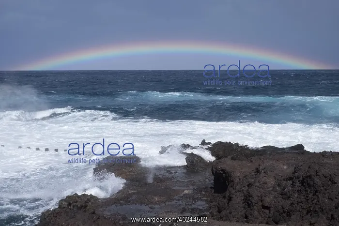  : Rainbow over the sea, Tenerife