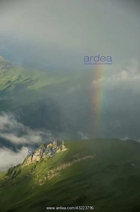  : Rainbow over slopes below Faulhorn, Bernese