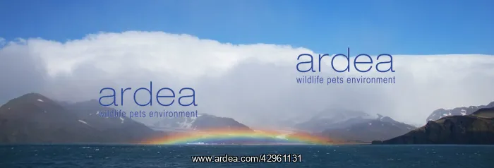  : Rainbow - St Andrews Bay